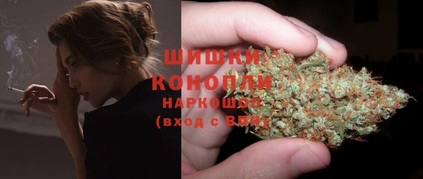 гидра Краснослободск
