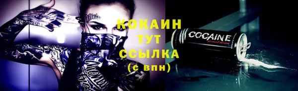 гидра Краснослободск