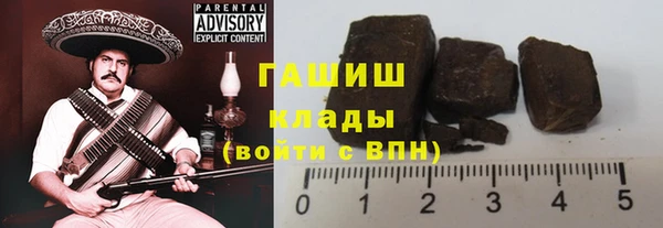 гидра Краснослободск