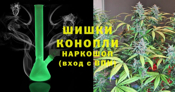 гидра Краснослободск