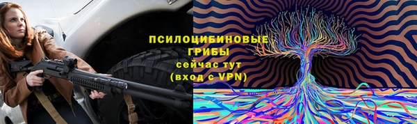 гидра Краснослободск