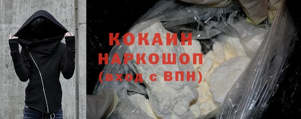 гидра Краснослободск
