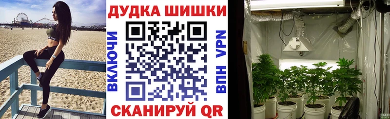 Купить где  Пыть-Ях  Конопля Ganja 